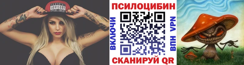 Купить закладки  Котлас  Галлюциногенные грибы мицелий 