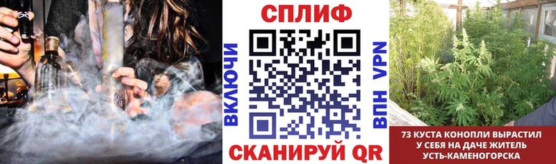 Купить закладки Котлас Каннабис гибрид